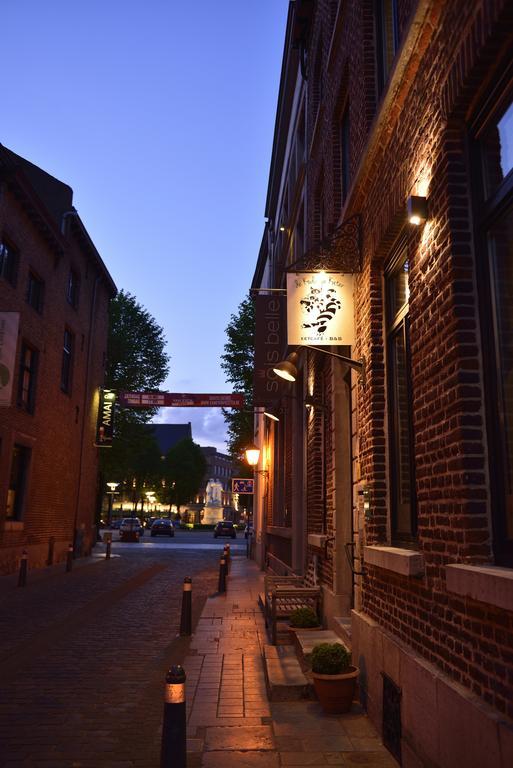 Studio Frodo En Zazou Maaseik Exterior foto